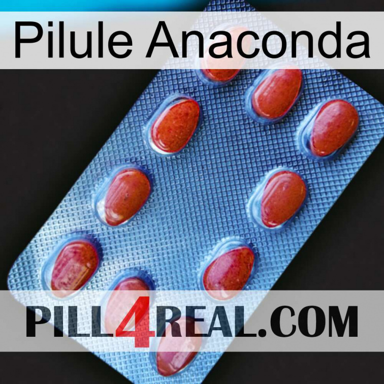 Anaconda Pill 06